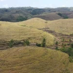 Best Time To Travel From Bali To Nusa Penida