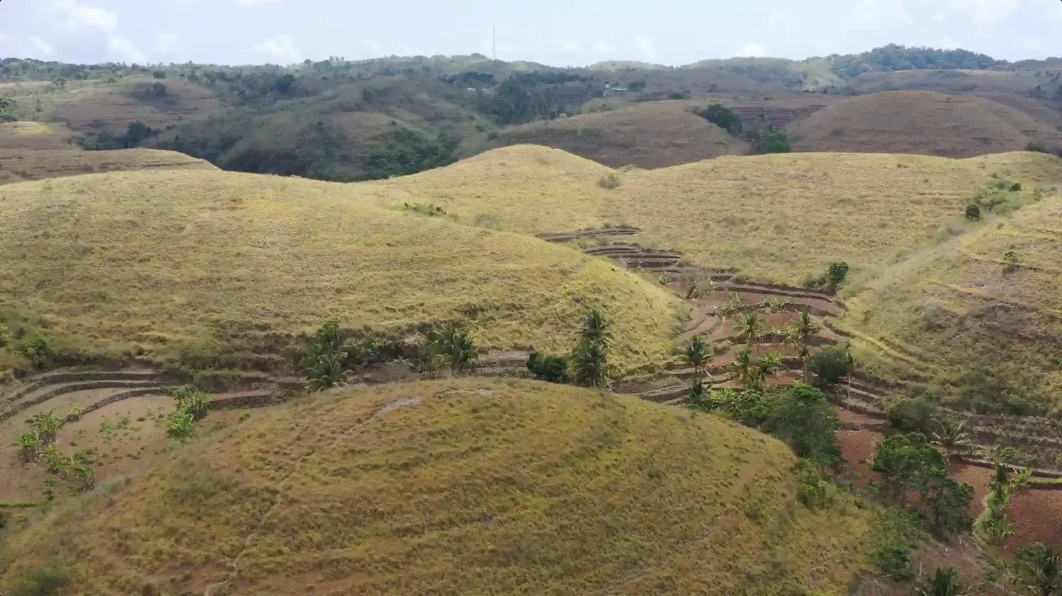 The rolling green hills of Bukit Teletubbies, Nusa Penida