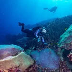 Sustainable Travel From Bali To Nusa Penida